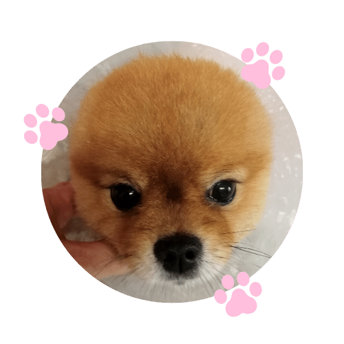 Ozónová terapia a Hydromasáž